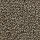 Mohawk Carpet: Authentic Notion Safari